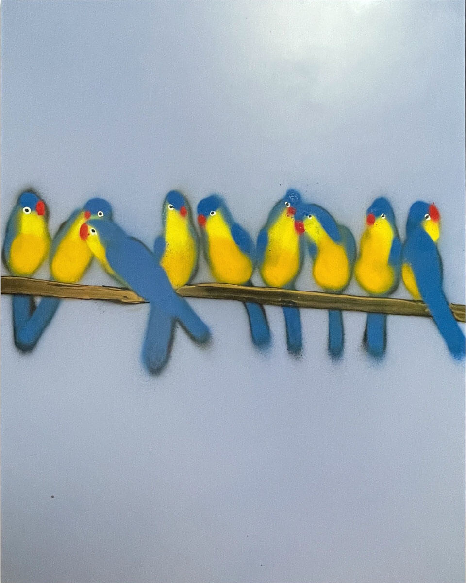 Xenz | Halcyon | Bluebirds