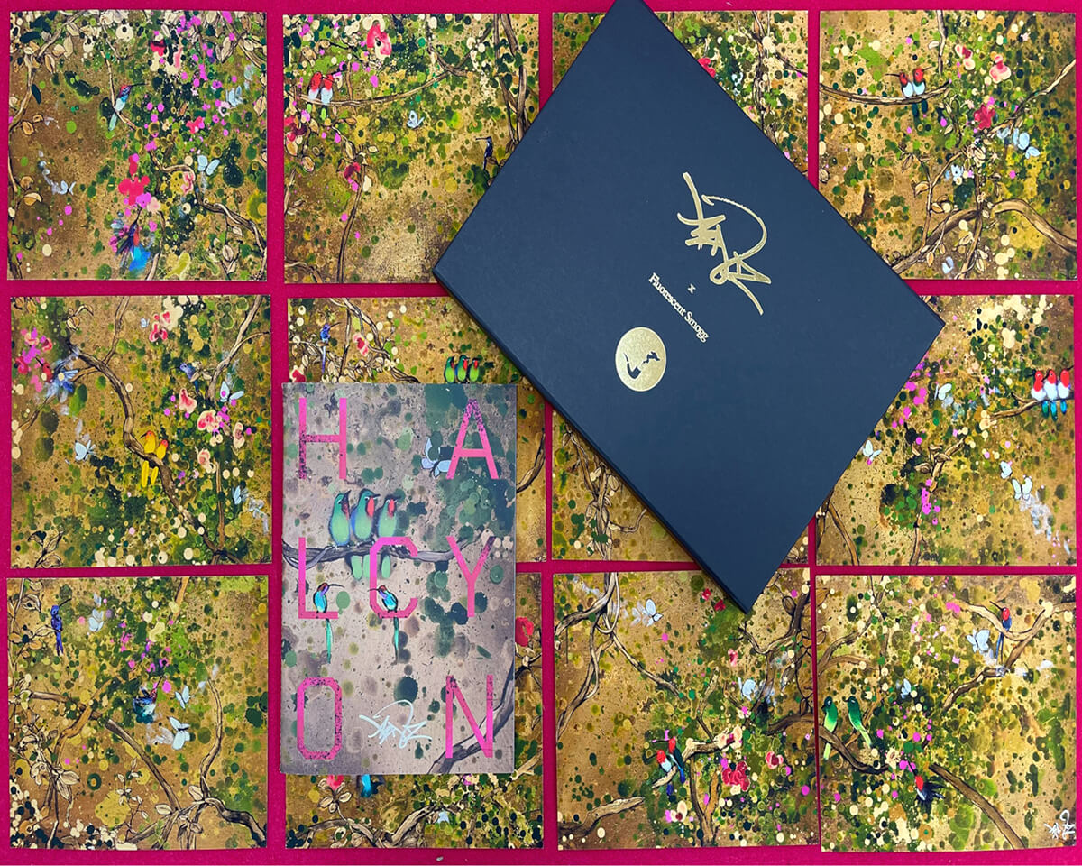 Xenz | Halcyon | Box Set (Special Edition)